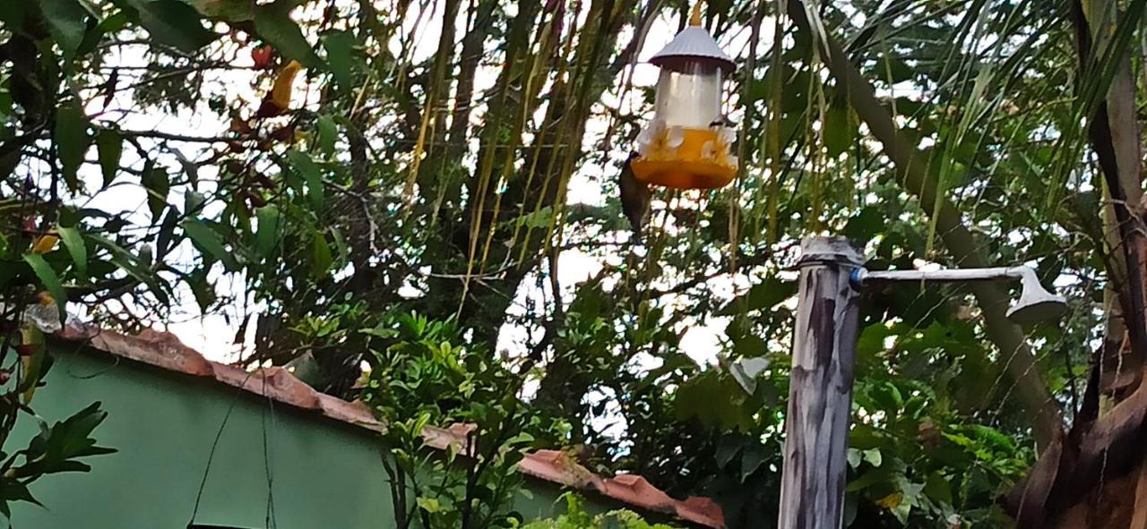 Paraiso Aconchegante Casa Espacosa E Muito Verde Caraguatatuba Exterior foto